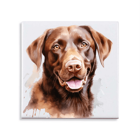 Tegeltje Chocoladebruine Labrador - Drie variaties